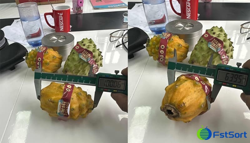 images/1712562735099fruta kirin3.jpg